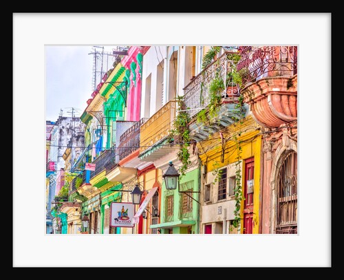 Colorful houses in Havana by Assaf Frank